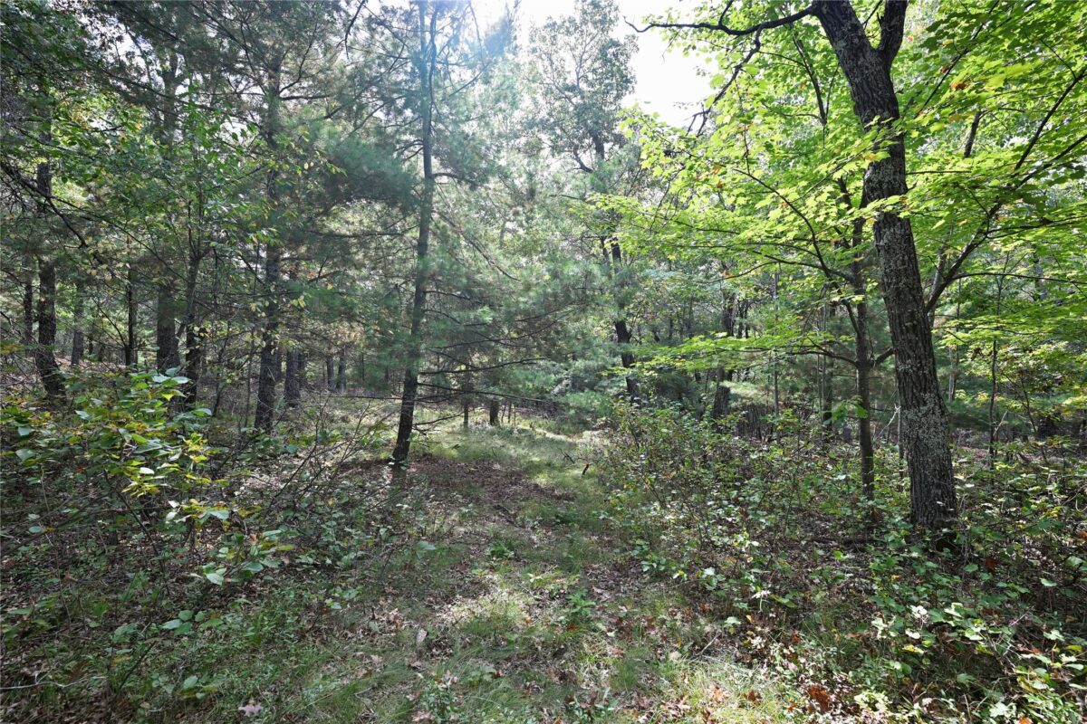 Lot 3 Dragon Drive, Minong, WI — photo 6