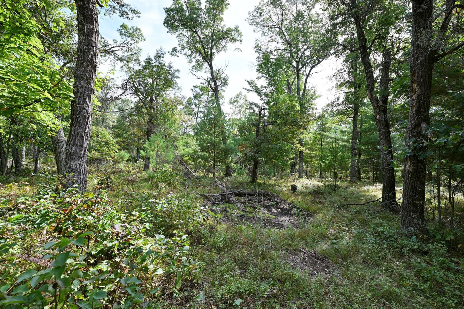 Lot 3 Dragon Drive, Minong, WI — photo 7