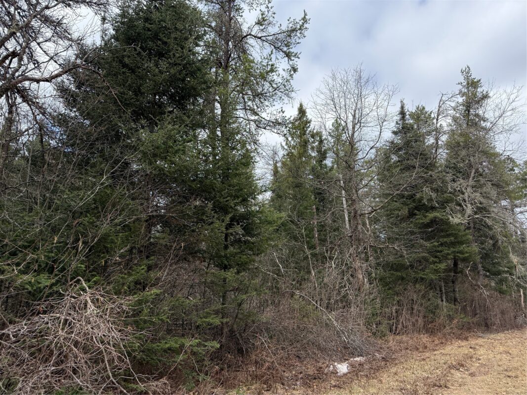Lot 30 Maple Court, Cable, WI — photo 2