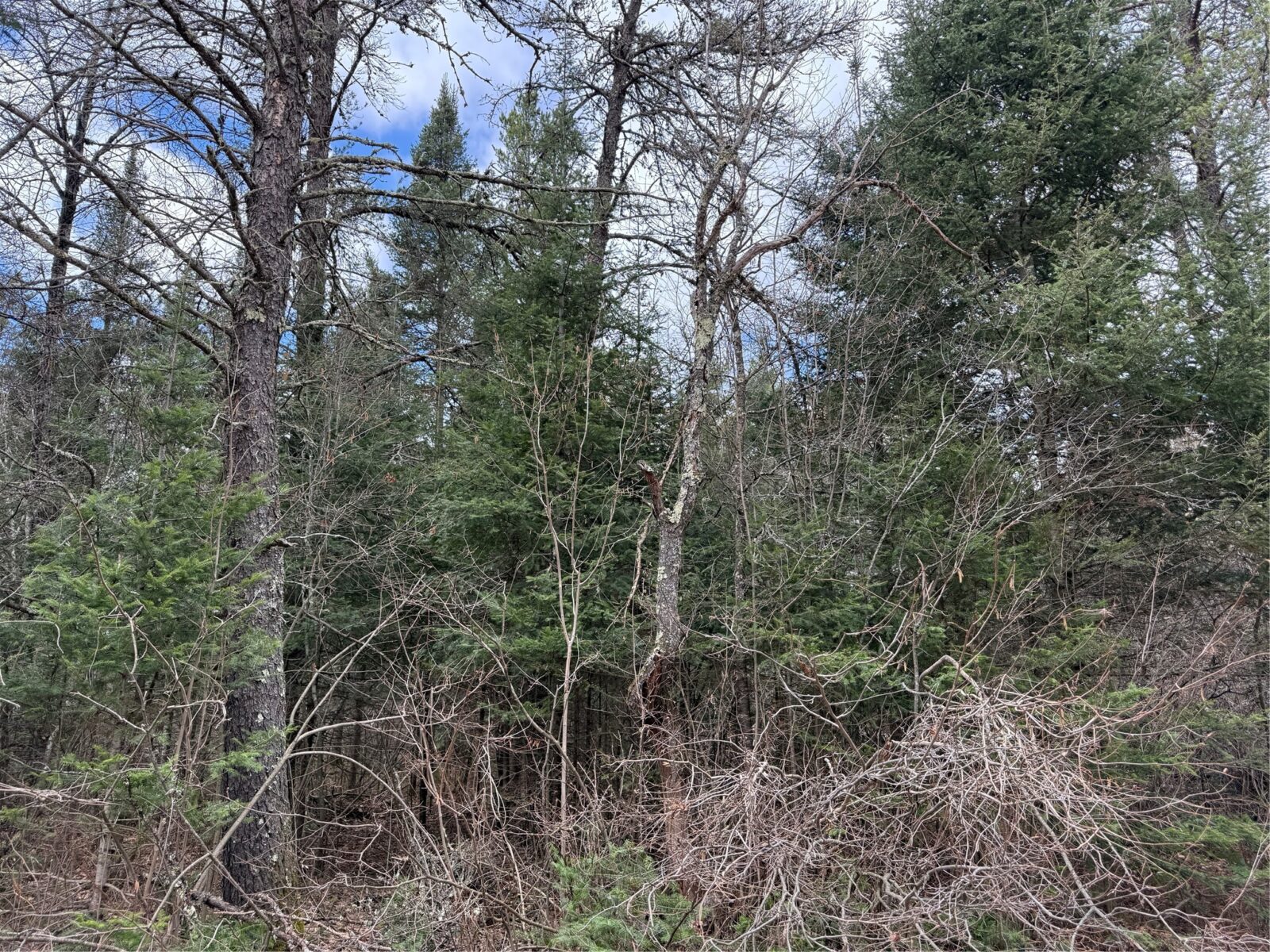 Lot 30 Maple Court, Cable, WI — photo 3