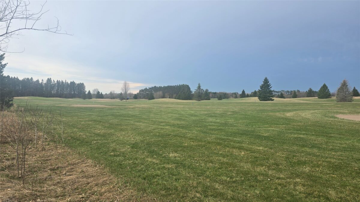 Land at Lot 31 21st Street, Rice Lake, WI 54868 — photo 4