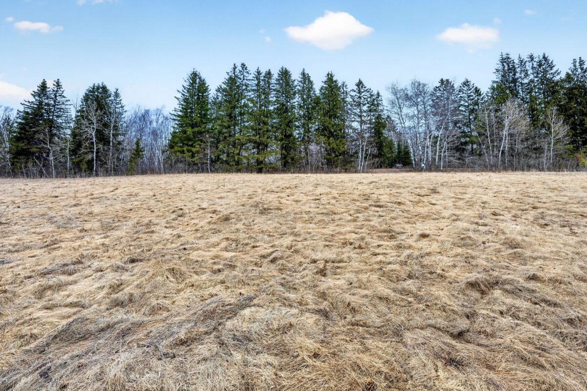 Lot 37 Hatchery Road Hayward WI 54843 — photo 6