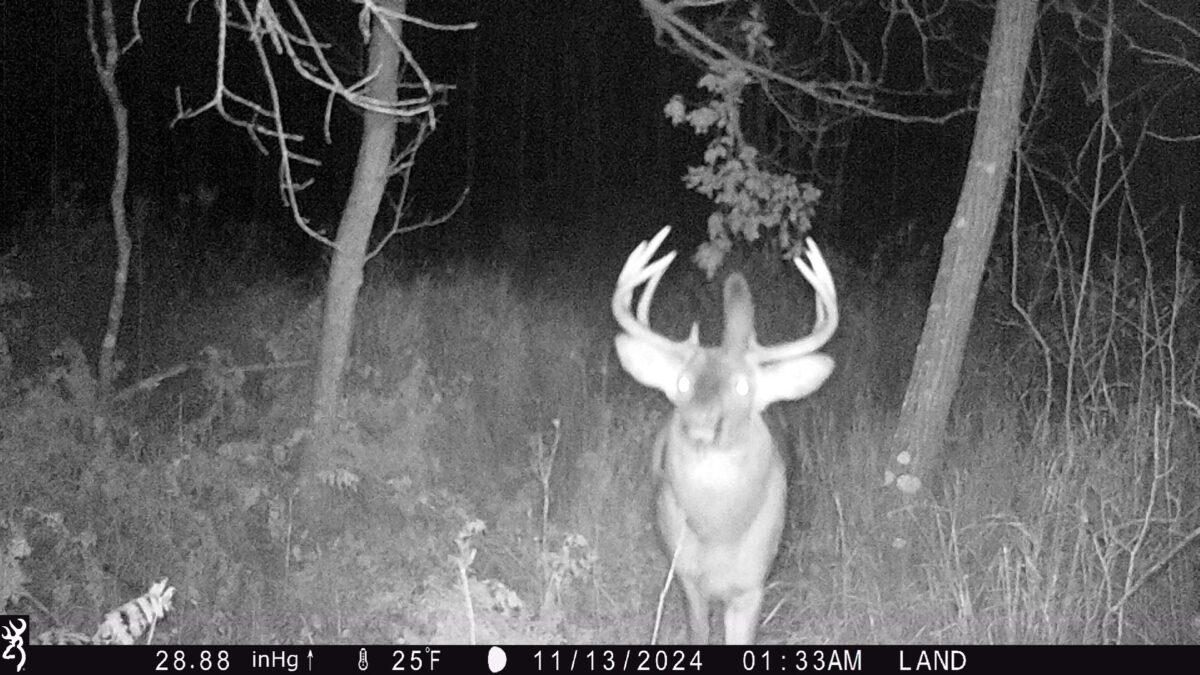 Land at Lot 4 160th Avenue, Turtle Lake, WI 54889 — photo 11