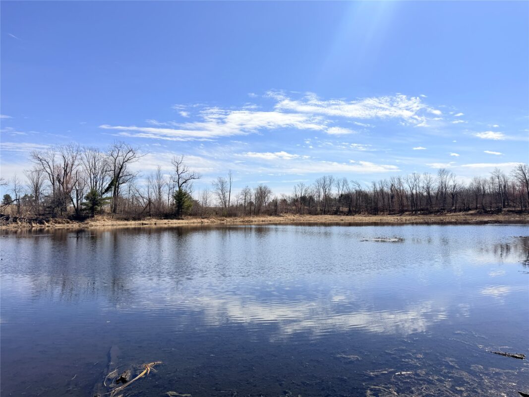 Land at Lot 4 160th Avenue, Turtle Lake, WI 54889 — photo 13