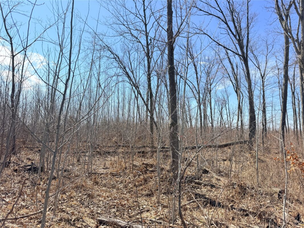 Land at Lot 4 160th Avenue, Turtle Lake, WI 54889 — photo 14