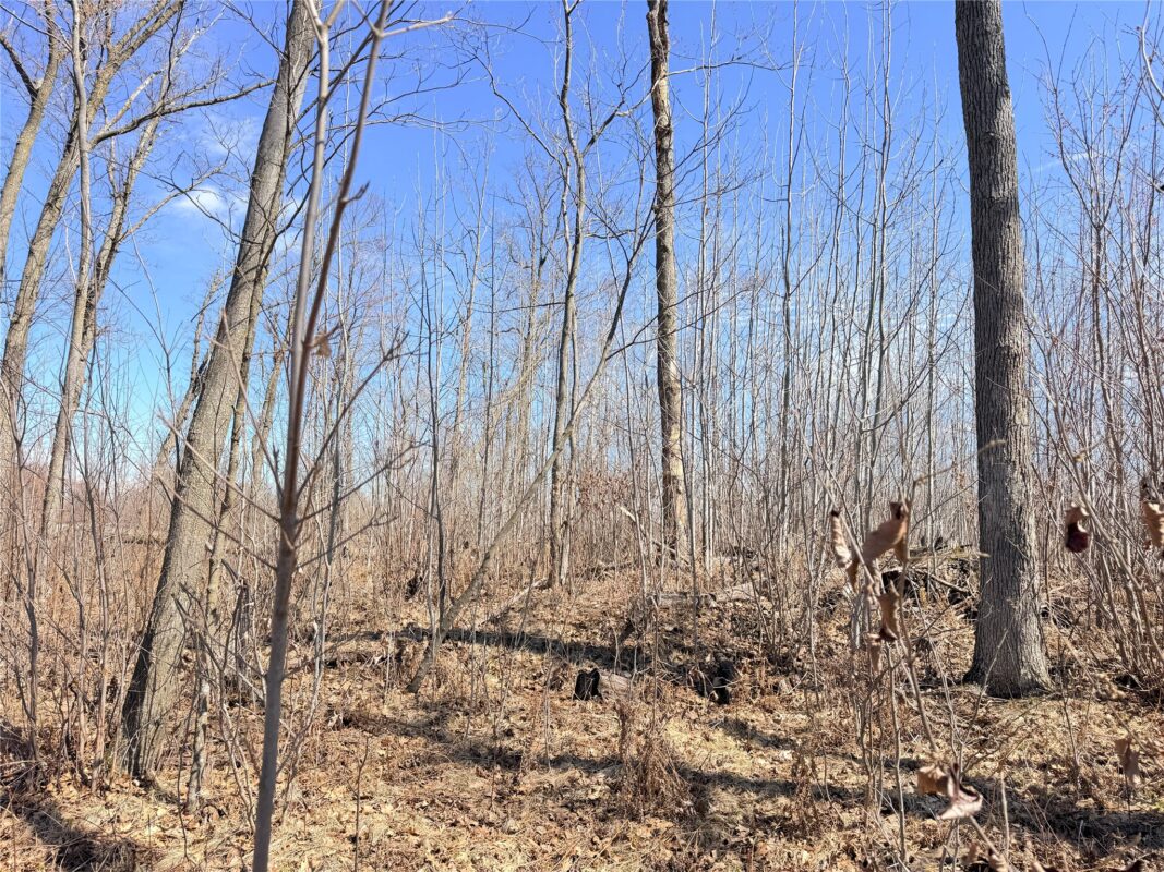 Land at Lot 4 160th Avenue, Turtle Lake, WI 54889 — photo 16