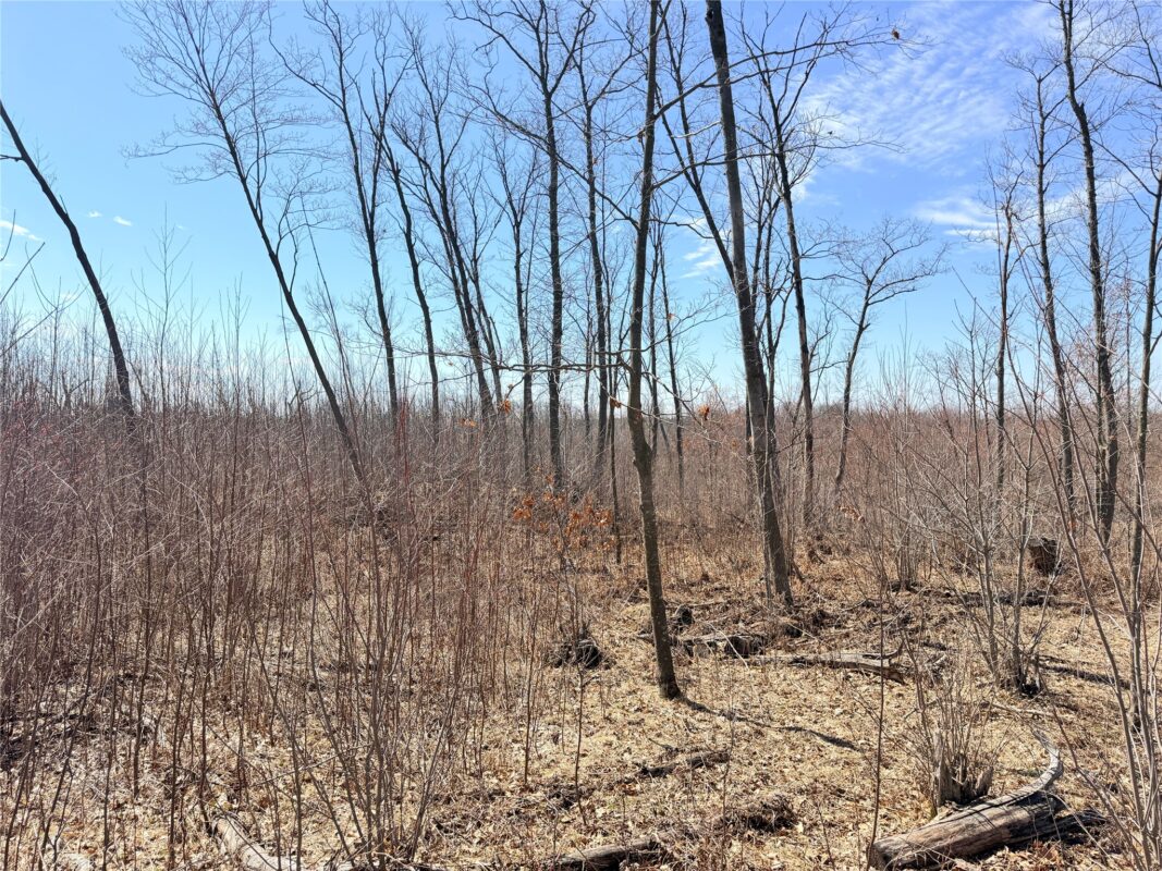 Land at Lot 4 160th Avenue, Turtle Lake, WI 54889 — photo 18