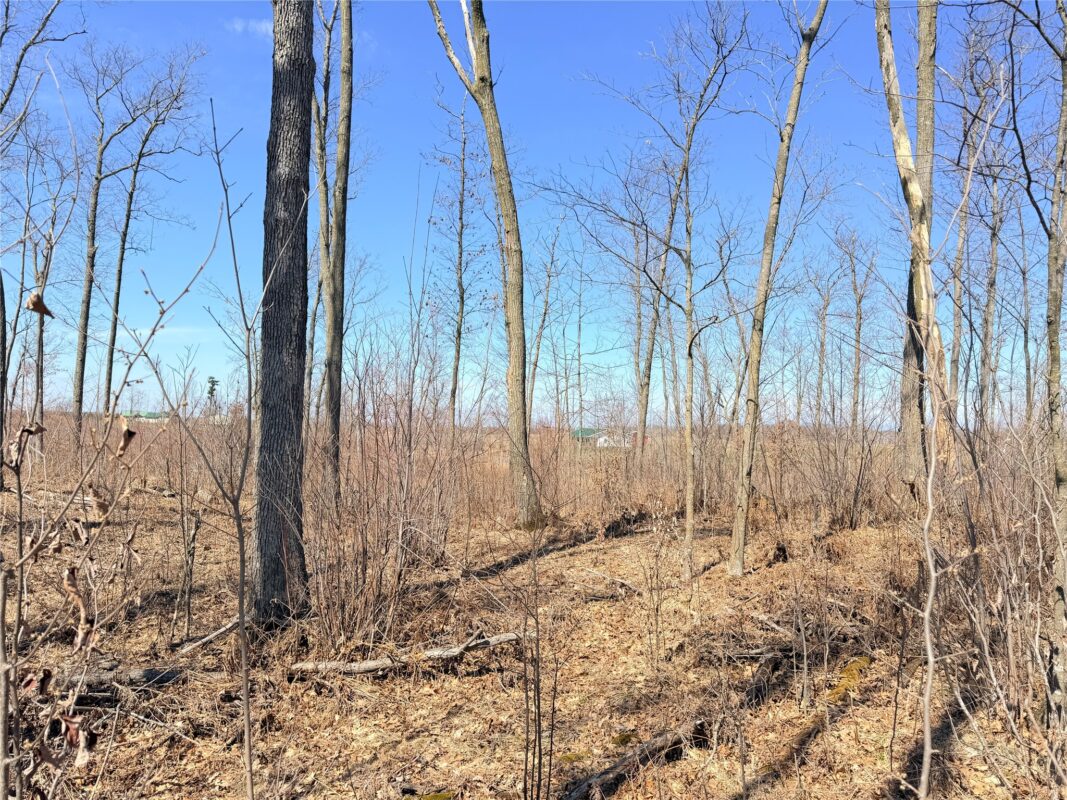 Land at Lot 4 160th Avenue, Turtle Lake, WI 54889 — photo 19