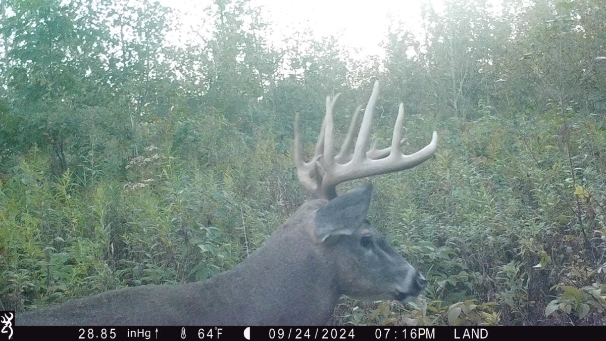 Land at Lot 4 160th Avenue, Turtle Lake, WI 54889 — photo 2