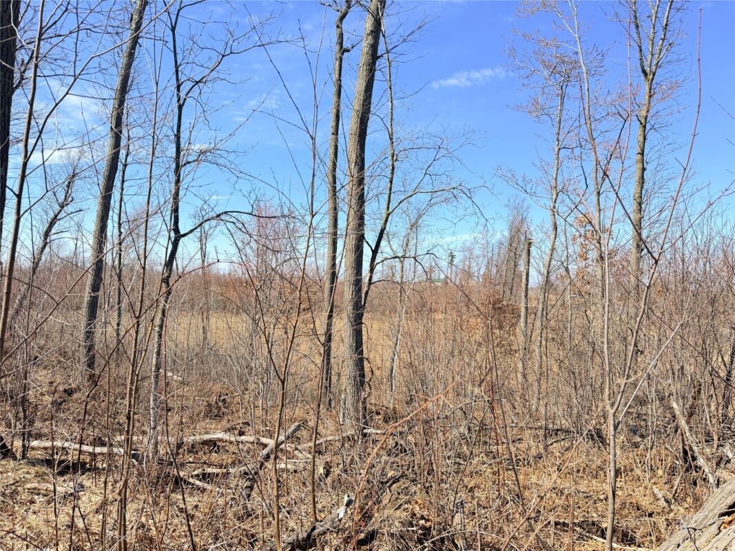 Land at Lot 4 160th Avenue, Turtle Lake, WI 54889 — photo 20