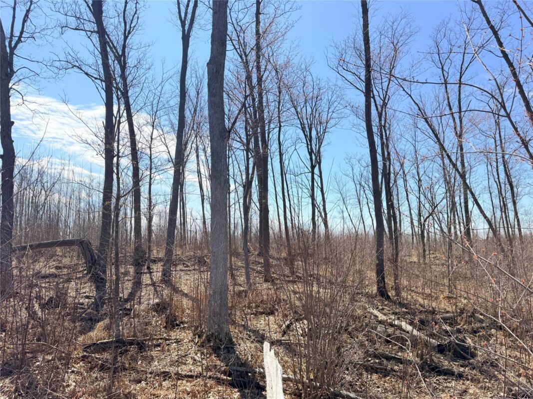 Land at Lot 4 160th Avenue, Turtle Lake, WI 54889 — photo 22