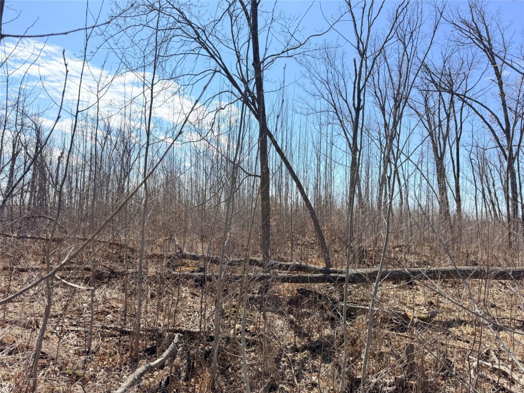 Land at Lot 4 160th Avenue, Turtle Lake, WI 54889 — photo 23