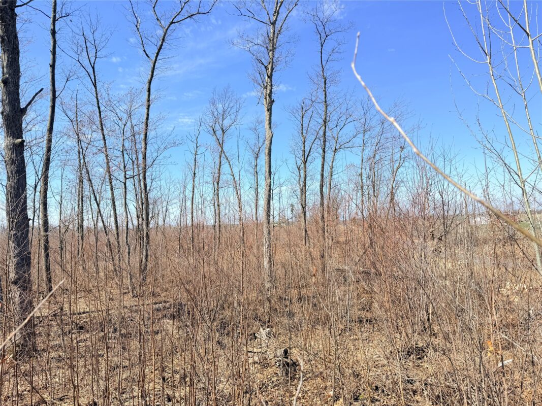 Land at Lot 4 160th Avenue, Turtle Lake, WI 54889 — photo 24