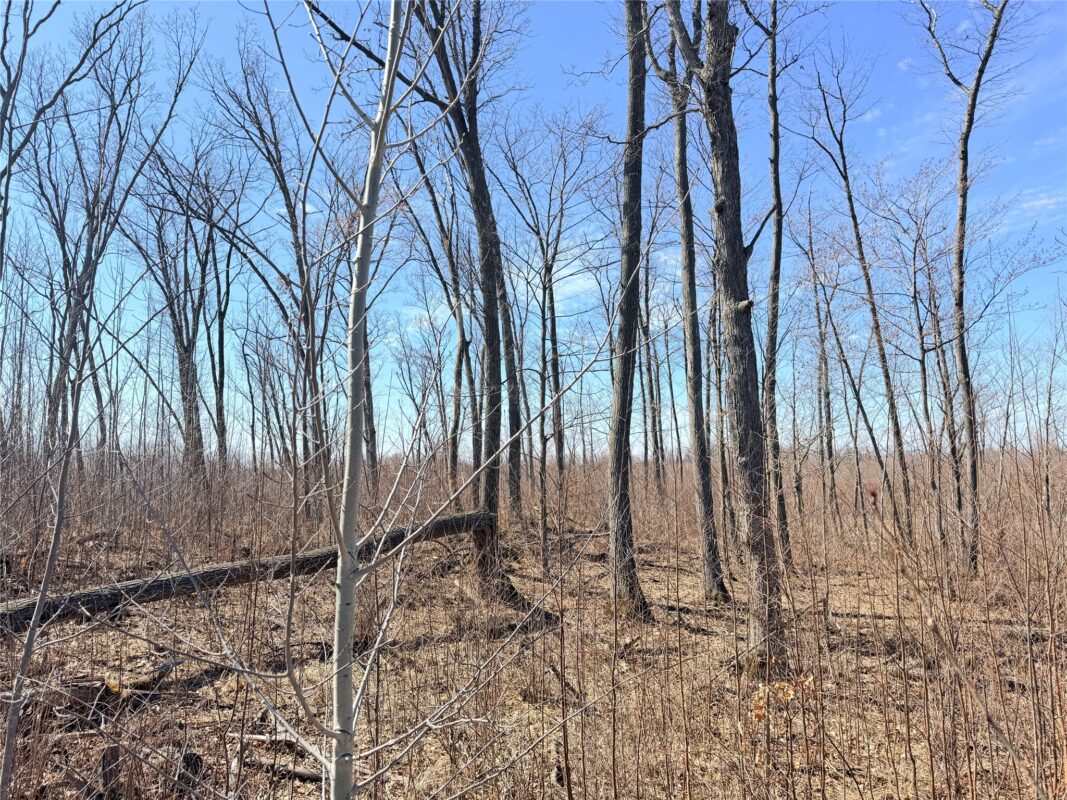 Land at Lot 4 160th Avenue, Turtle Lake, WI 54889 — photo 25