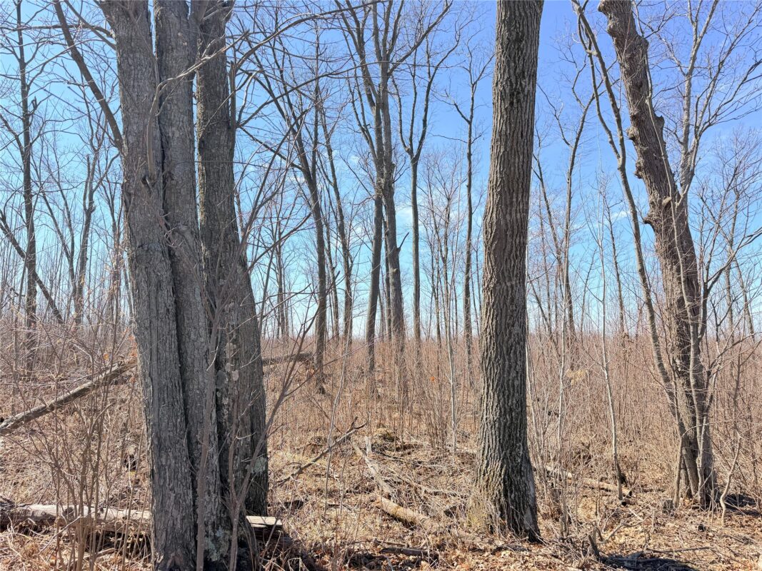 Land at Lot 4 160th Avenue, Turtle Lake, WI 54889 — photo 26