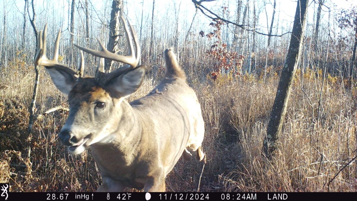 Land at Lot 4 160th Avenue, Turtle Lake, WI 54889 — photo 3