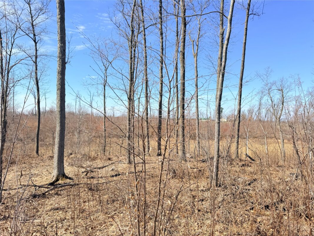 Land at Lot 4 160th Avenue, Turtle Lake, WI 54889 — photo 4