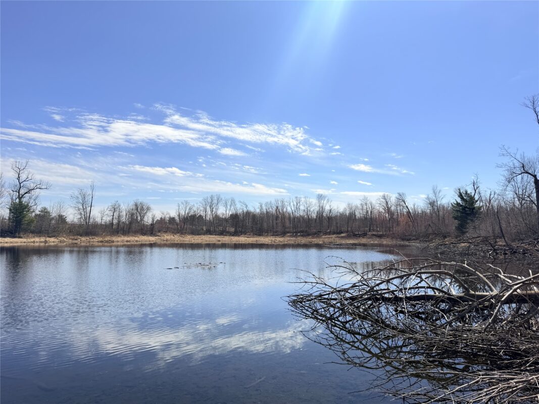 Land at Lot 4 160th Avenue, Turtle Lake, WI 54889 — photo 5