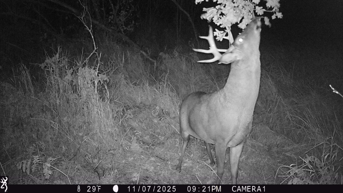 Land at Lot 4 160th Avenue, Turtle Lake, WI 54889 — photo 8