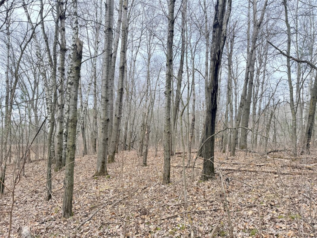 Lot 4 Big Lake Drive Osceola WI 54020 — photo 10