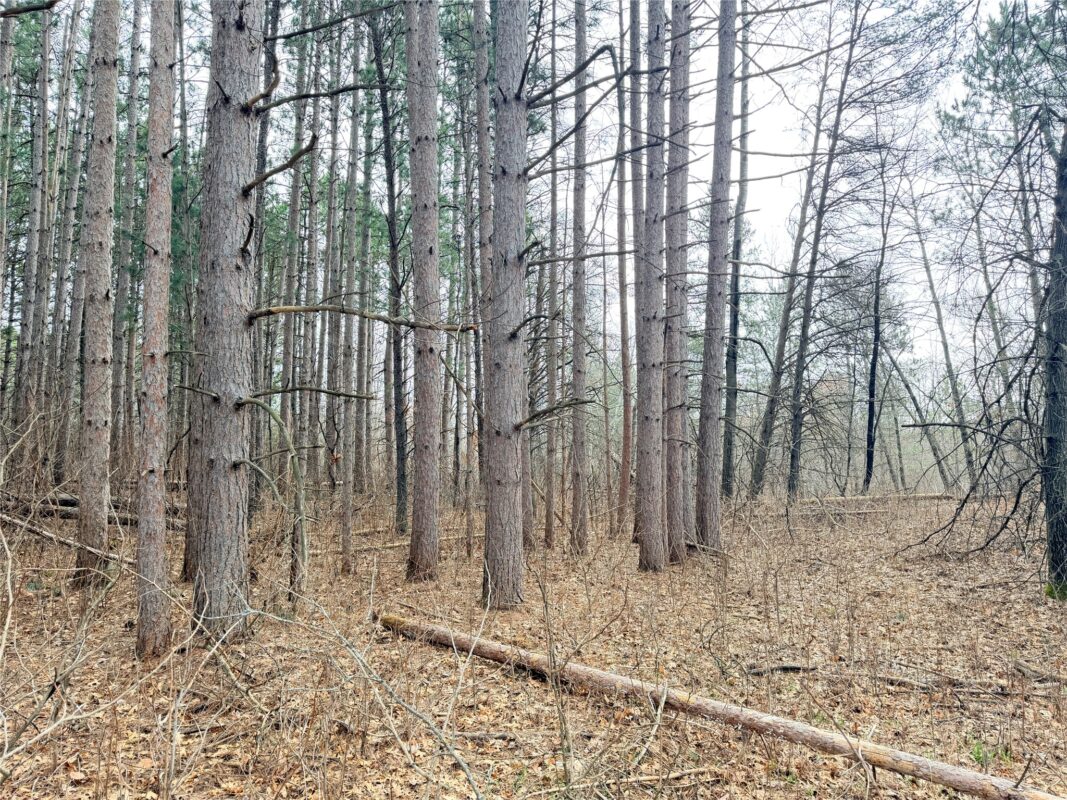 Lot 4 Big Lake Drive Osceola WI 54020 — photo 11