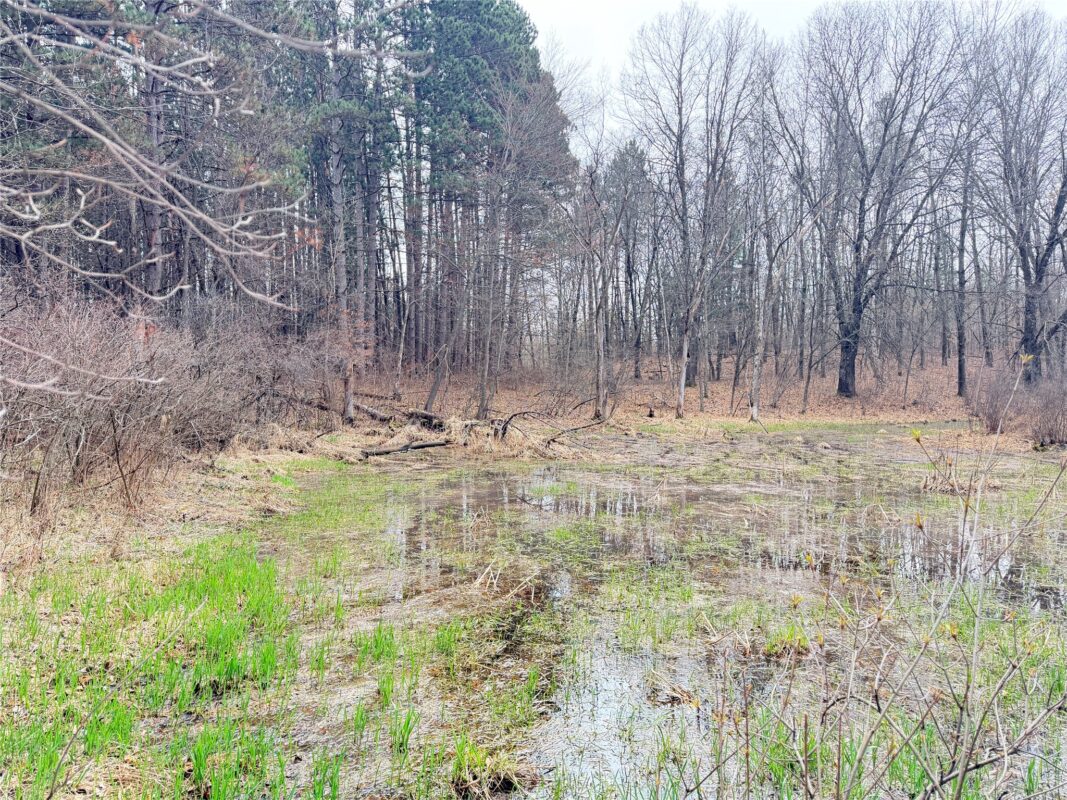 Lot 4 Big Lake Drive Osceola WI 54020 — photo 12