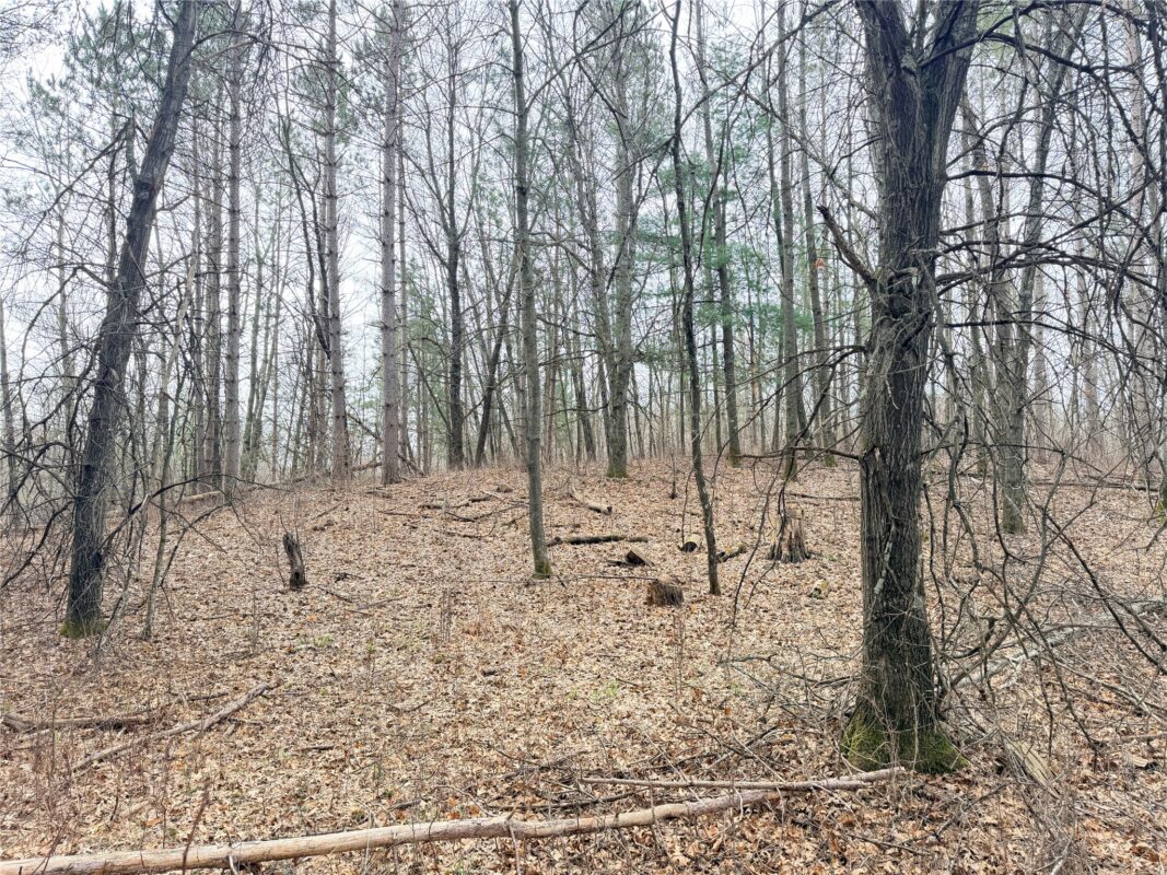 Lot 4 Big Lake Drive Osceola WI 54020 — photo 13