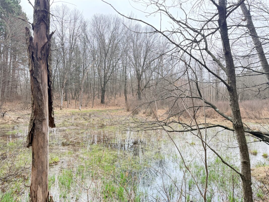 Lot 4 Big Lake Drive Osceola WI 54020 — photo 14