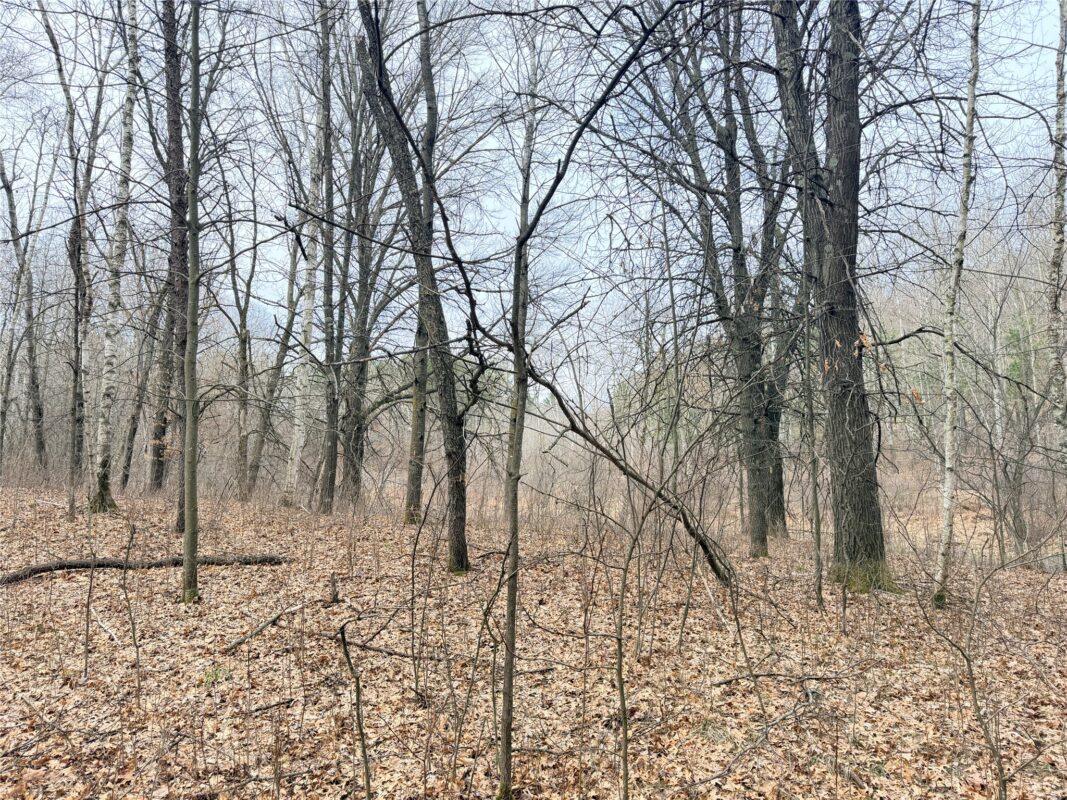 Lot 4 Big Lake Drive Osceola WI 54020 — photo 15