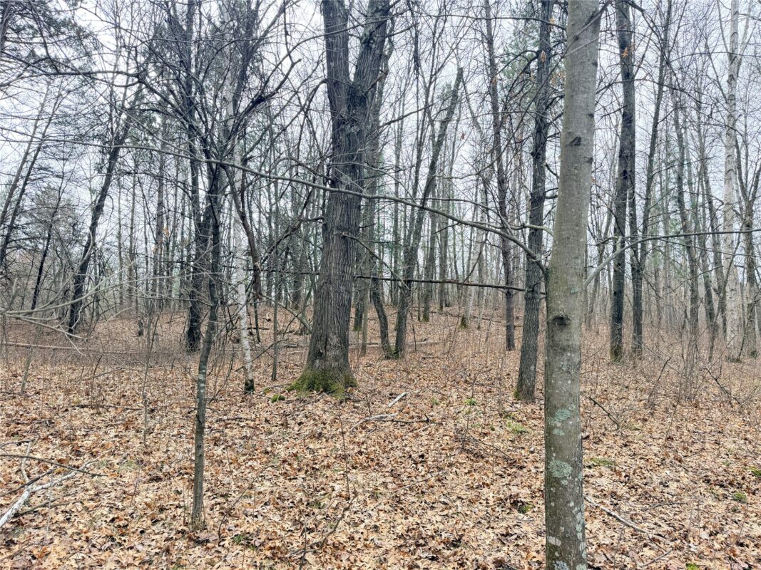 Lot 4 Big Lake Drive Osceola WI 54020 — photo 17