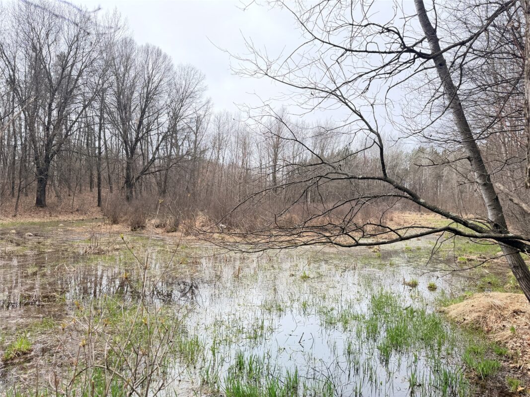 Lot 4 Big Lake Drive Osceola WI 54020 — photo 18