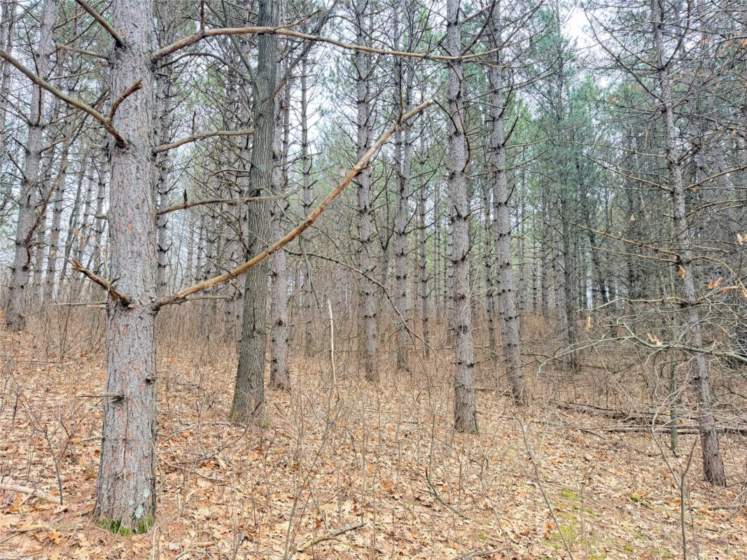 Lot 4 Big Lake Drive Osceola WI 54020 — photo 19