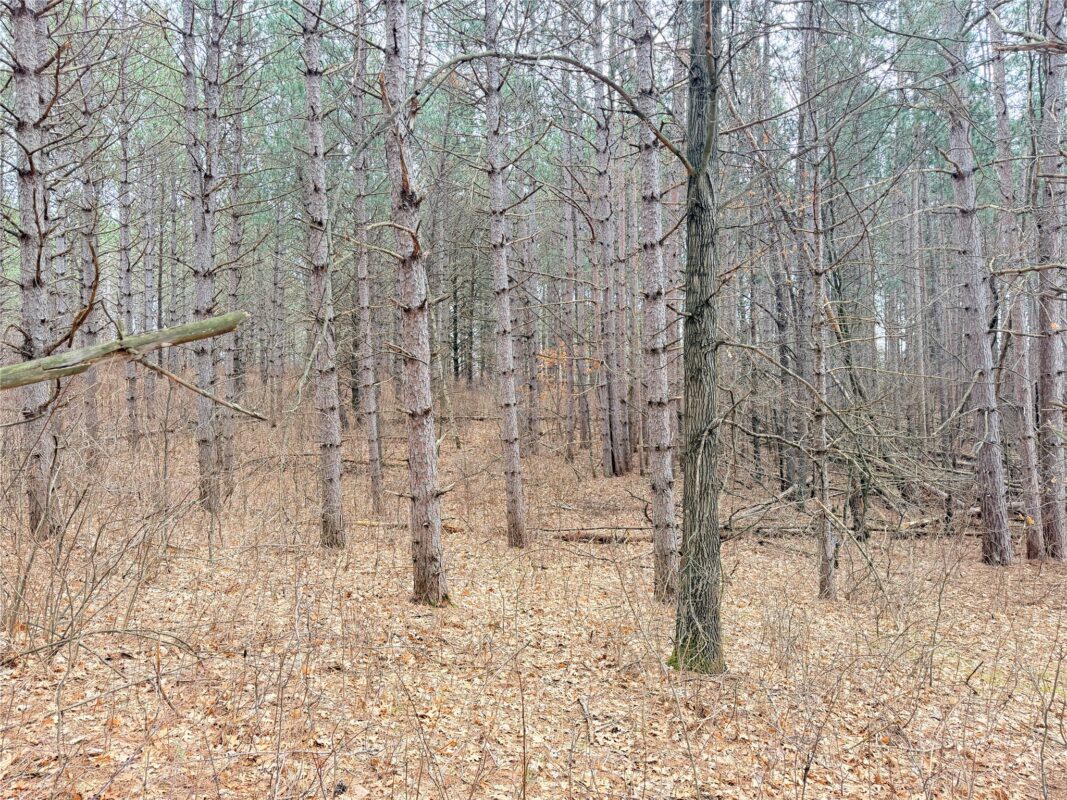 Lot 4 Big Lake Drive Osceola WI 54020 — photo 20