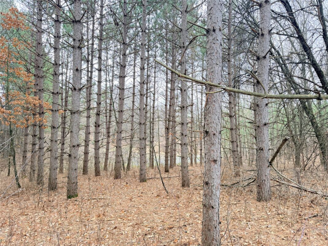 Lot 4 Big Lake Drive Osceola WI 54020 — photo 4