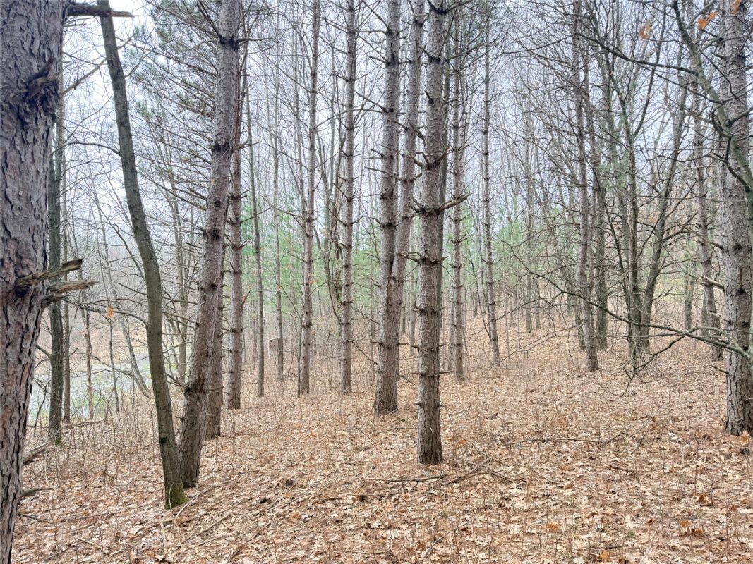 Lot 4 Big Lake Drive Osceola WI 54020 — photo 6