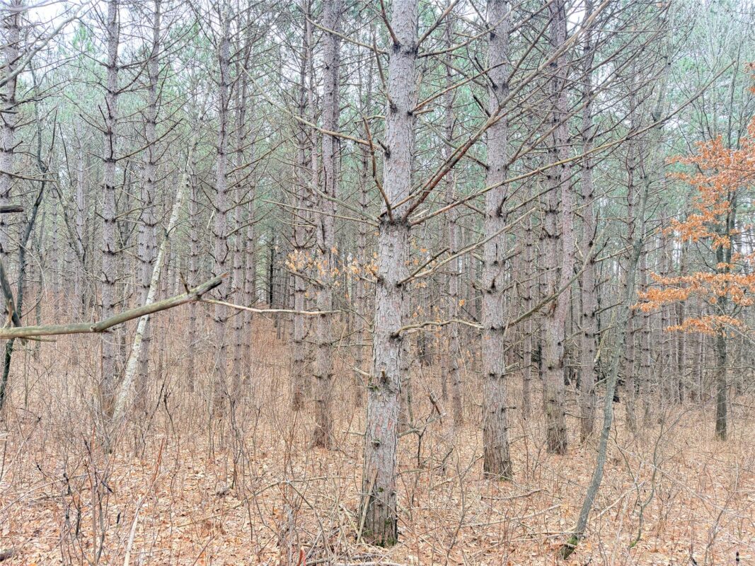 Lot 4 Big Lake Drive Osceola WI 54020 — photo 8
