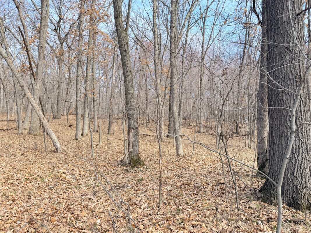 Lot 6 Big Lake Drive Osceola WI 54020 — photo 10