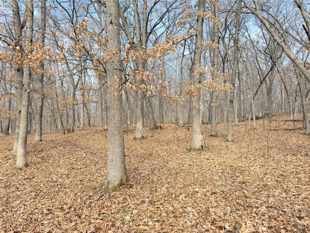 Lot 6 Big Lake Drive Osceola WI 54020 — photo 11