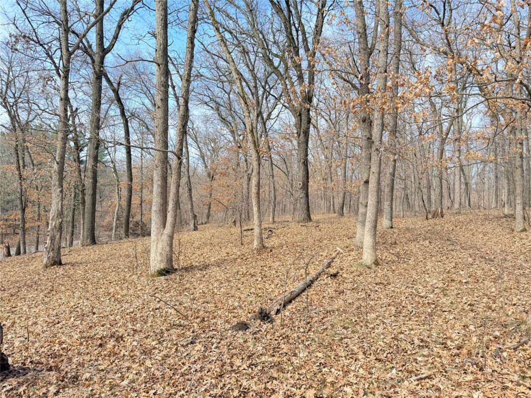 Lot 6 Big Lake Drive Osceola WI 54020 — photo 12
