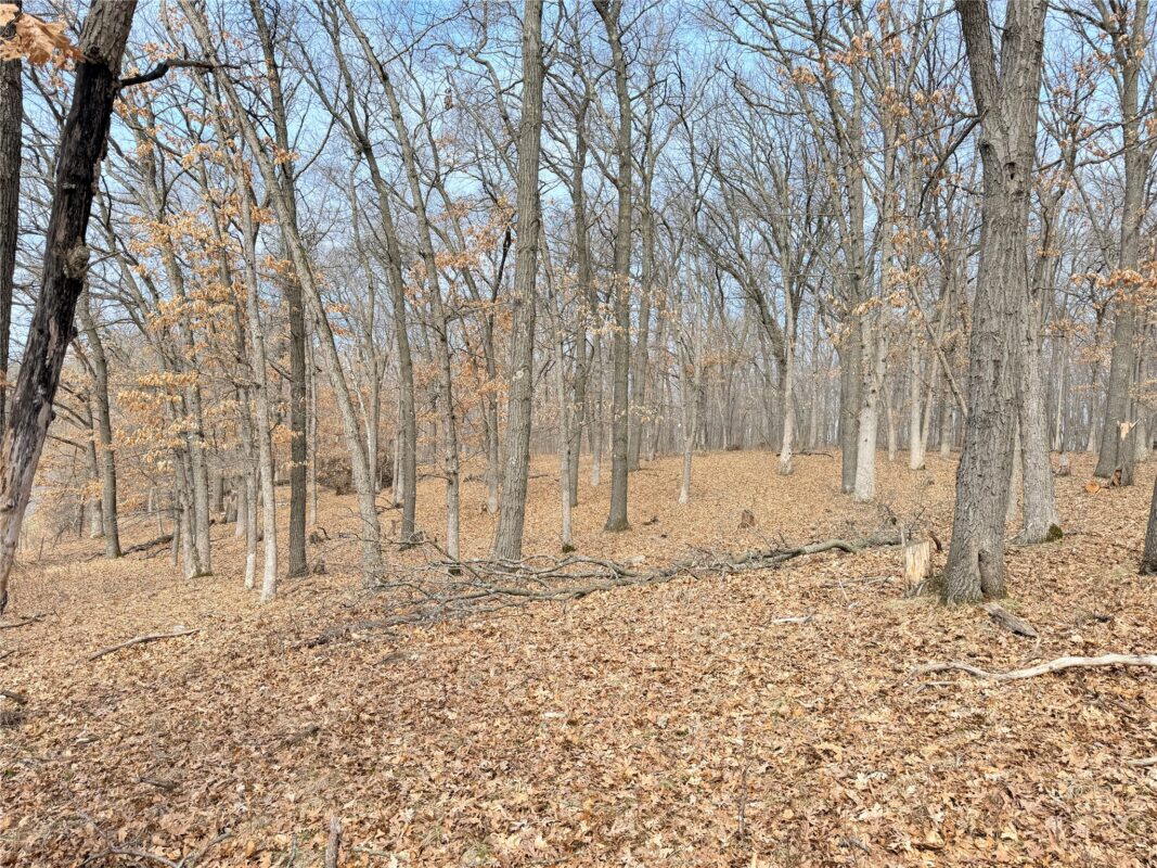 Lot 6 Big Lake Drive Osceola WI 54020 — photo 13