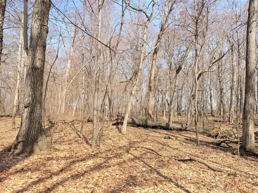 Lot 6 Big Lake Drive Osceola WI 54020 — photo 2