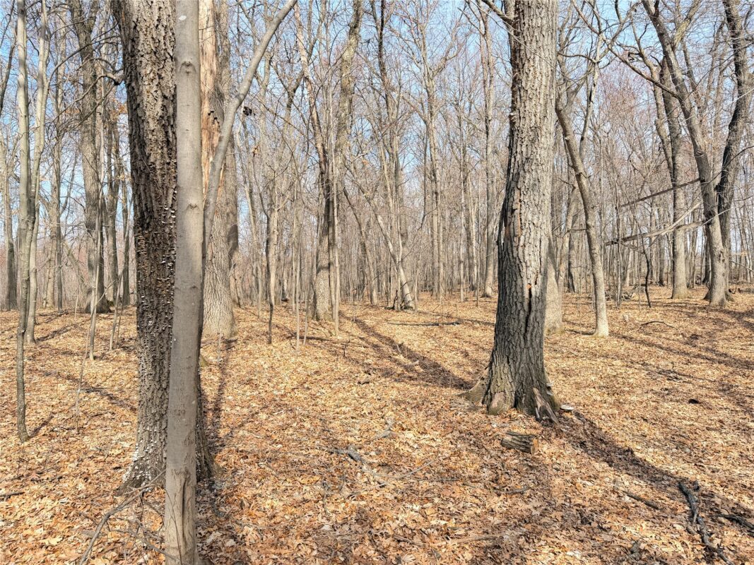 Lot 6 Big Lake Drive Osceola WI 54020 — photo 3