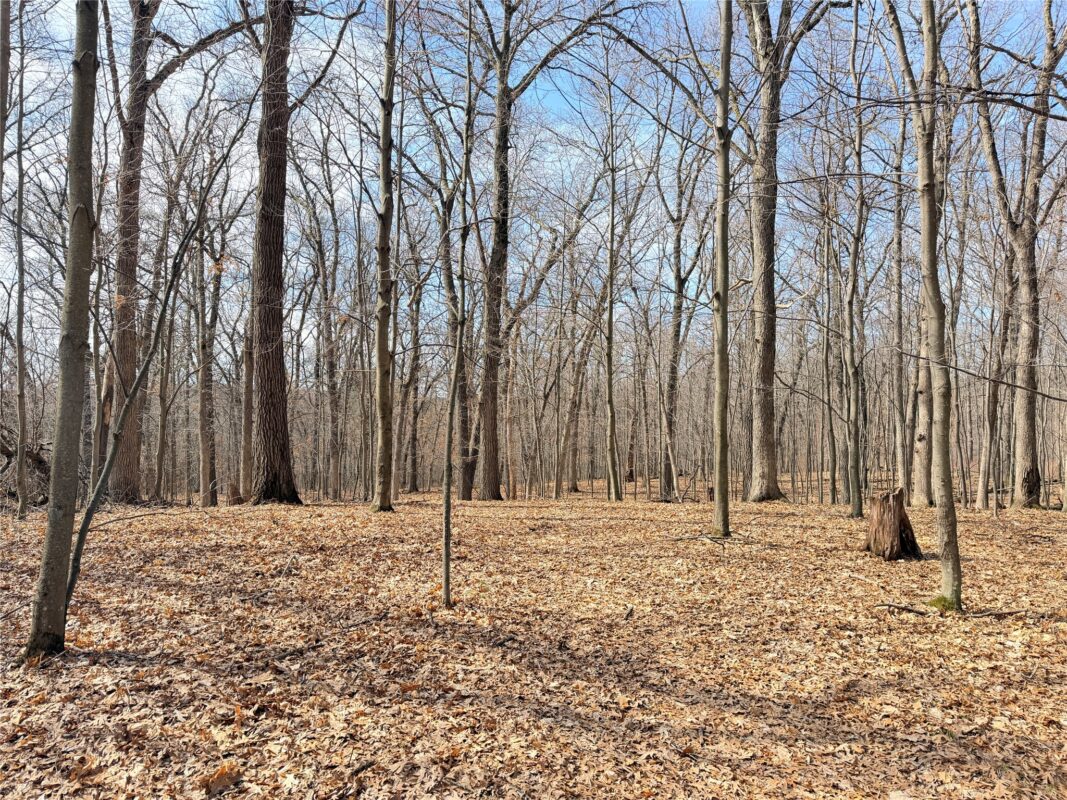 Lot 6 Big Lake Drive Osceola WI 54020 — photo 4