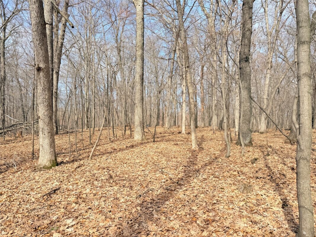 Lot 6 Big Lake Drive Osceola WI 54020 — photo 7