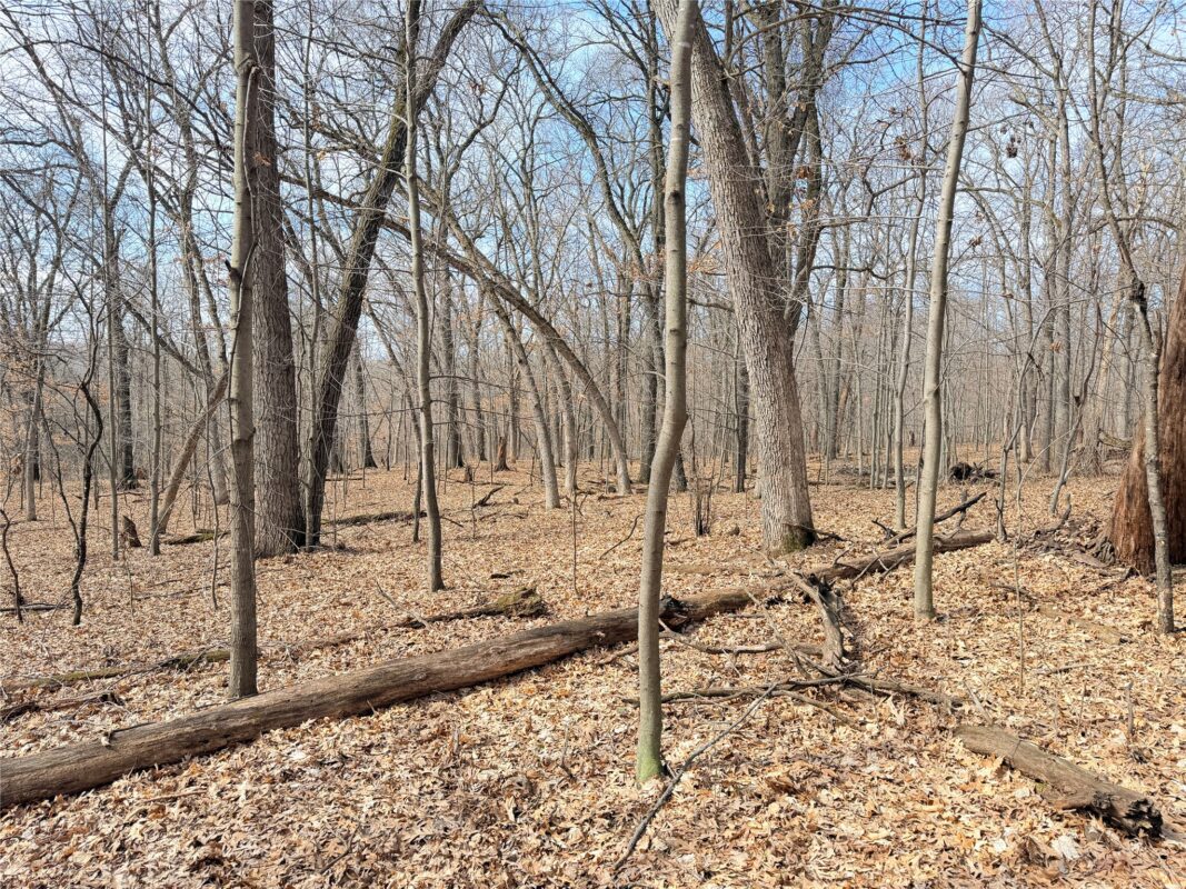 Lot 6 Big Lake Drive Osceola WI 54020 — photo 8