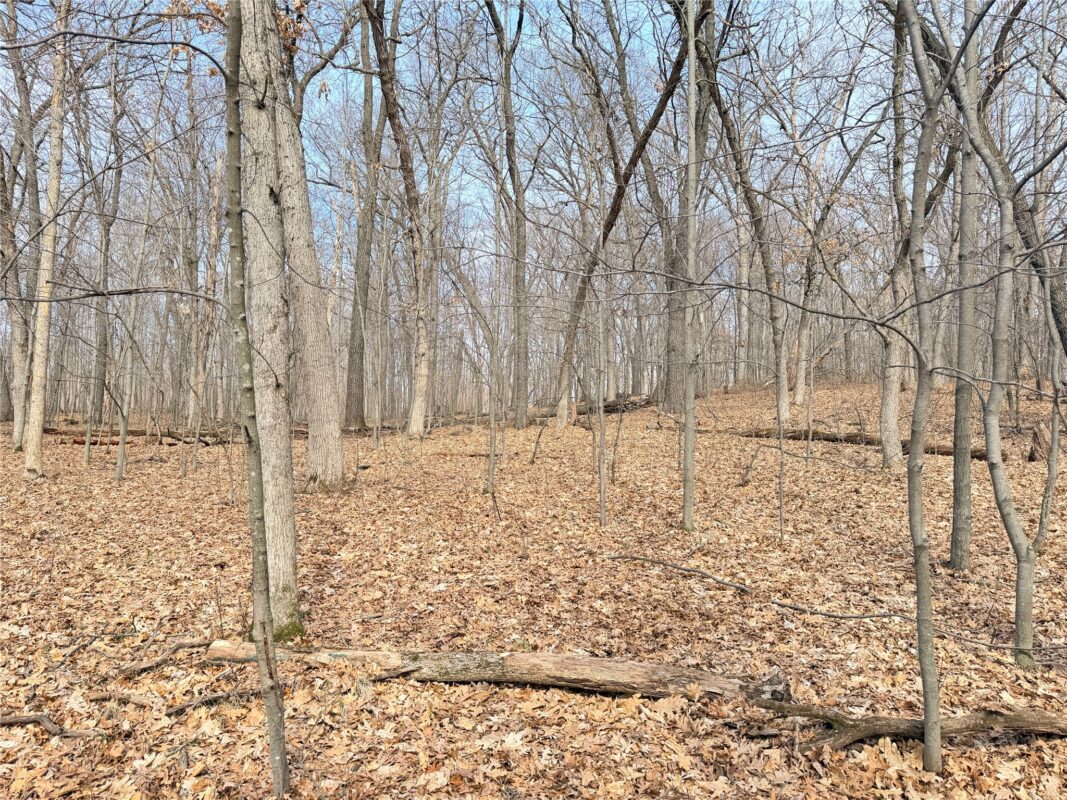 Lot 6 Big Lake Drive Osceola WI 54020 — photo 9