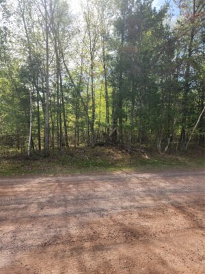 Lot 69 Setting Sun Trail Way, Danbury, WI
