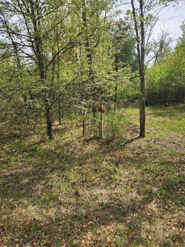 Land at Lot 69 Setting Sun Trail Way, Danbury, WI 54830 — photo 3
