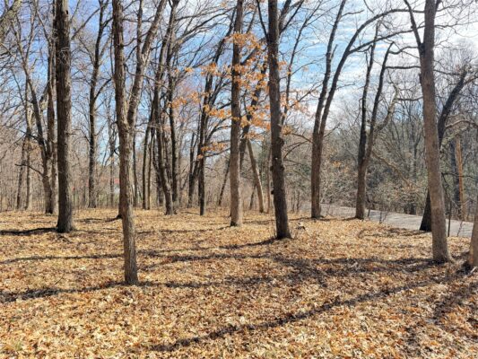 Lot 7 Big Lake Drive Osceola WI 54020 — photo 1