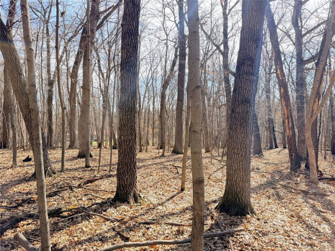 Lot 7 Big Lake Drive Osceola WI 54020 — photo 10